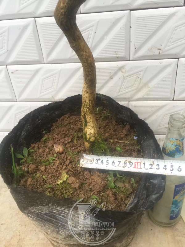 935873