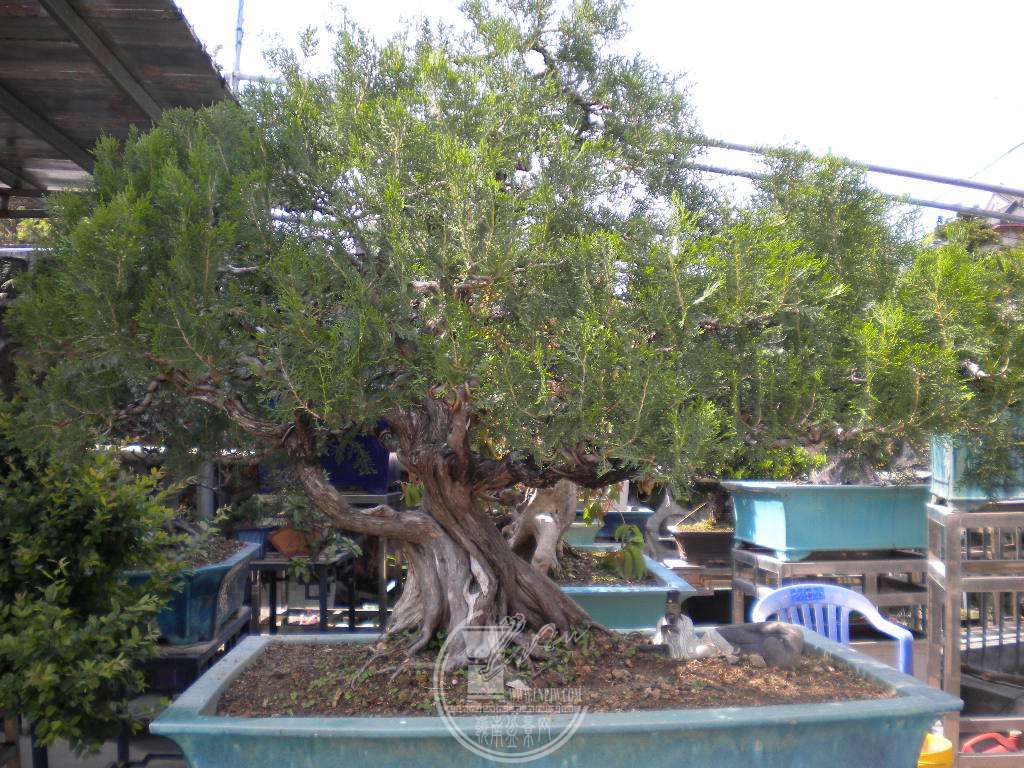 DSCN9028.JPG