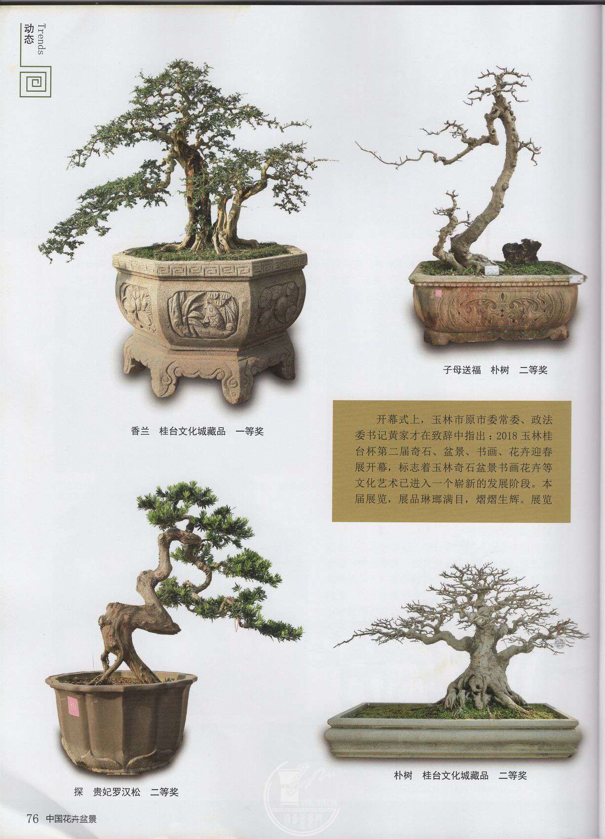 7img153.jpg