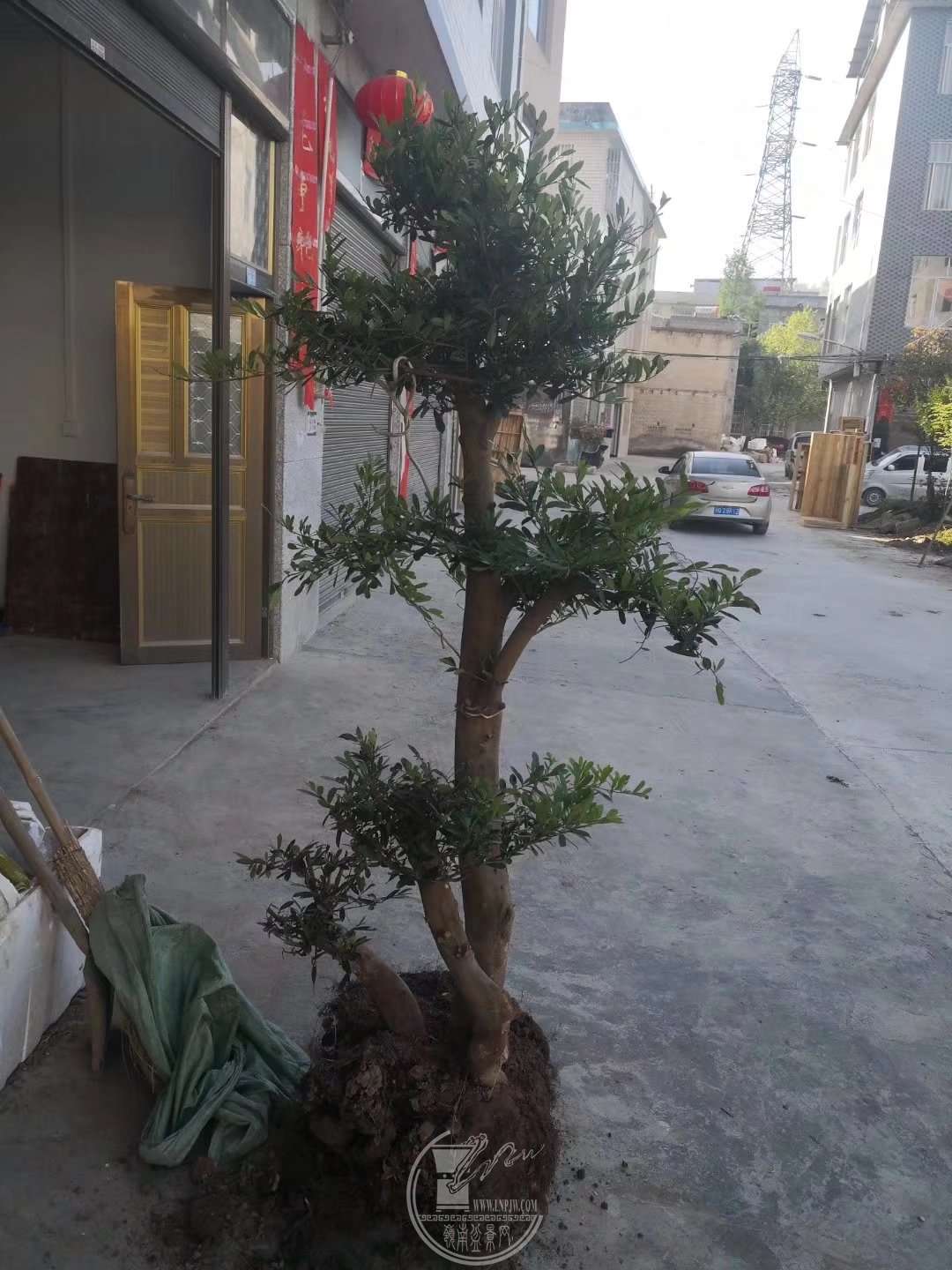 13.jpg