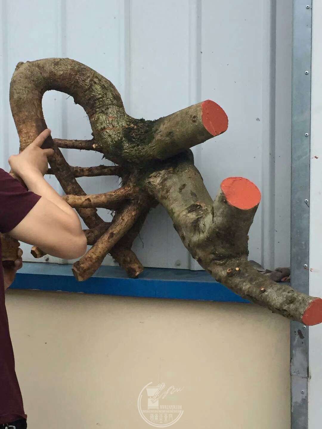 1524312341231.jpeg