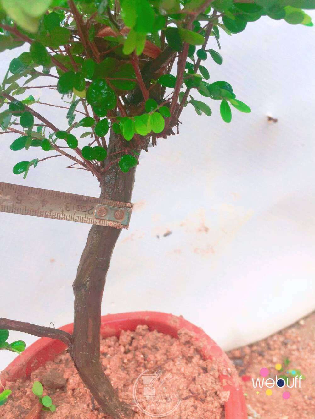 QQͼƬ20180422092517.jpg