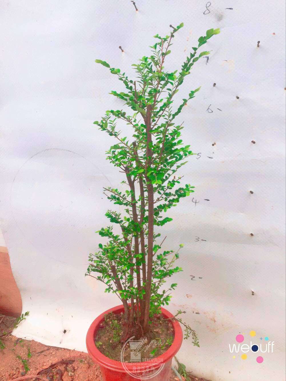 QQͼƬ20180422092730.jpg