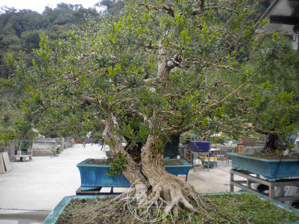 DSCN8879.JPG
