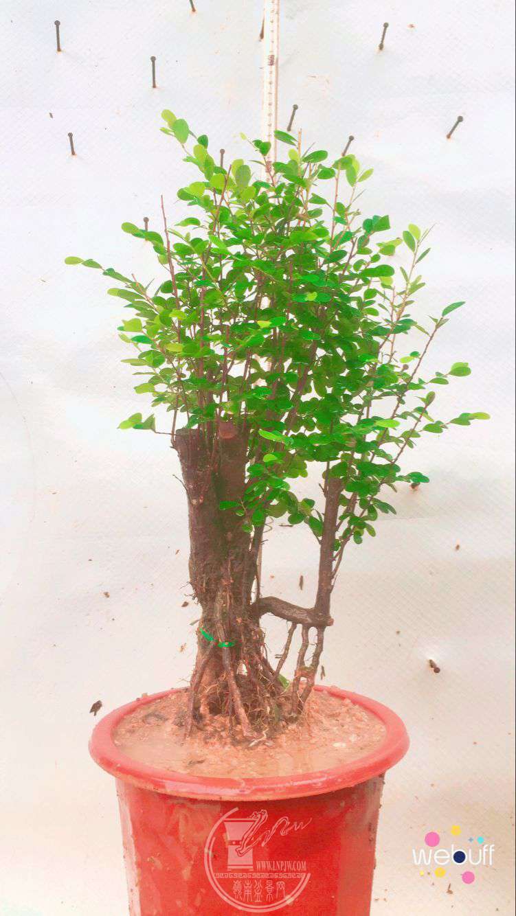 QQͼƬ20180427194135.jpg