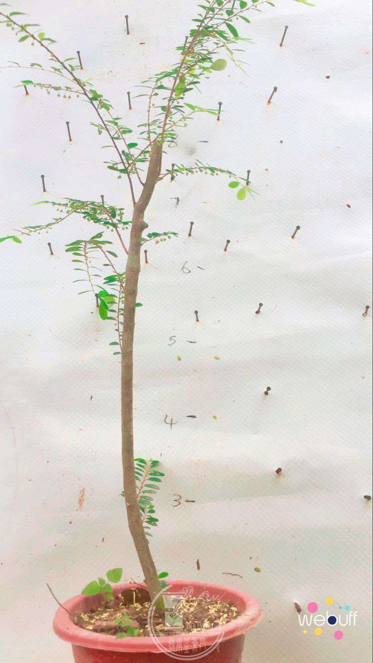 QQͼƬ20180429080053.jpg