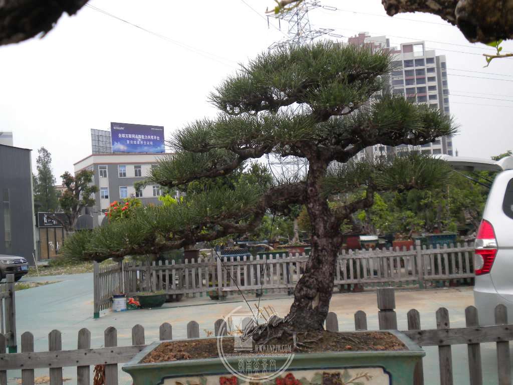 DSCN9044.JPG