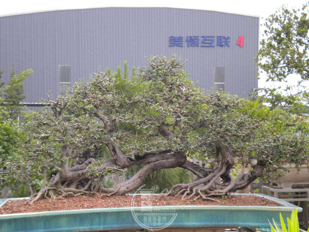 DSCN9045.JPG
