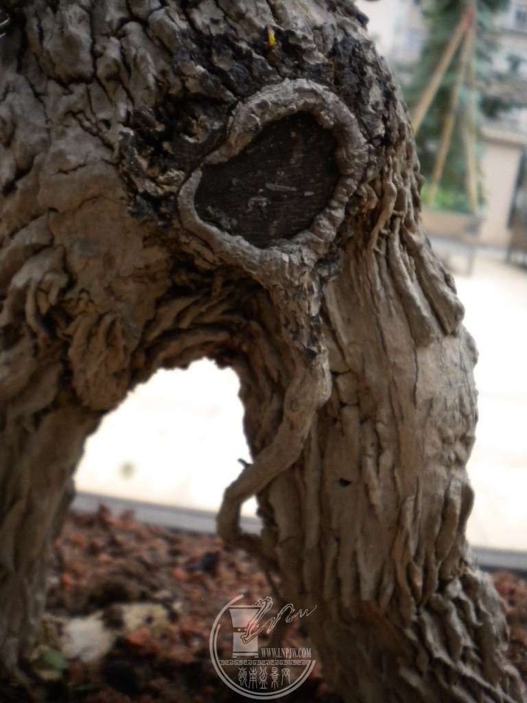 DSCN9185.jpg