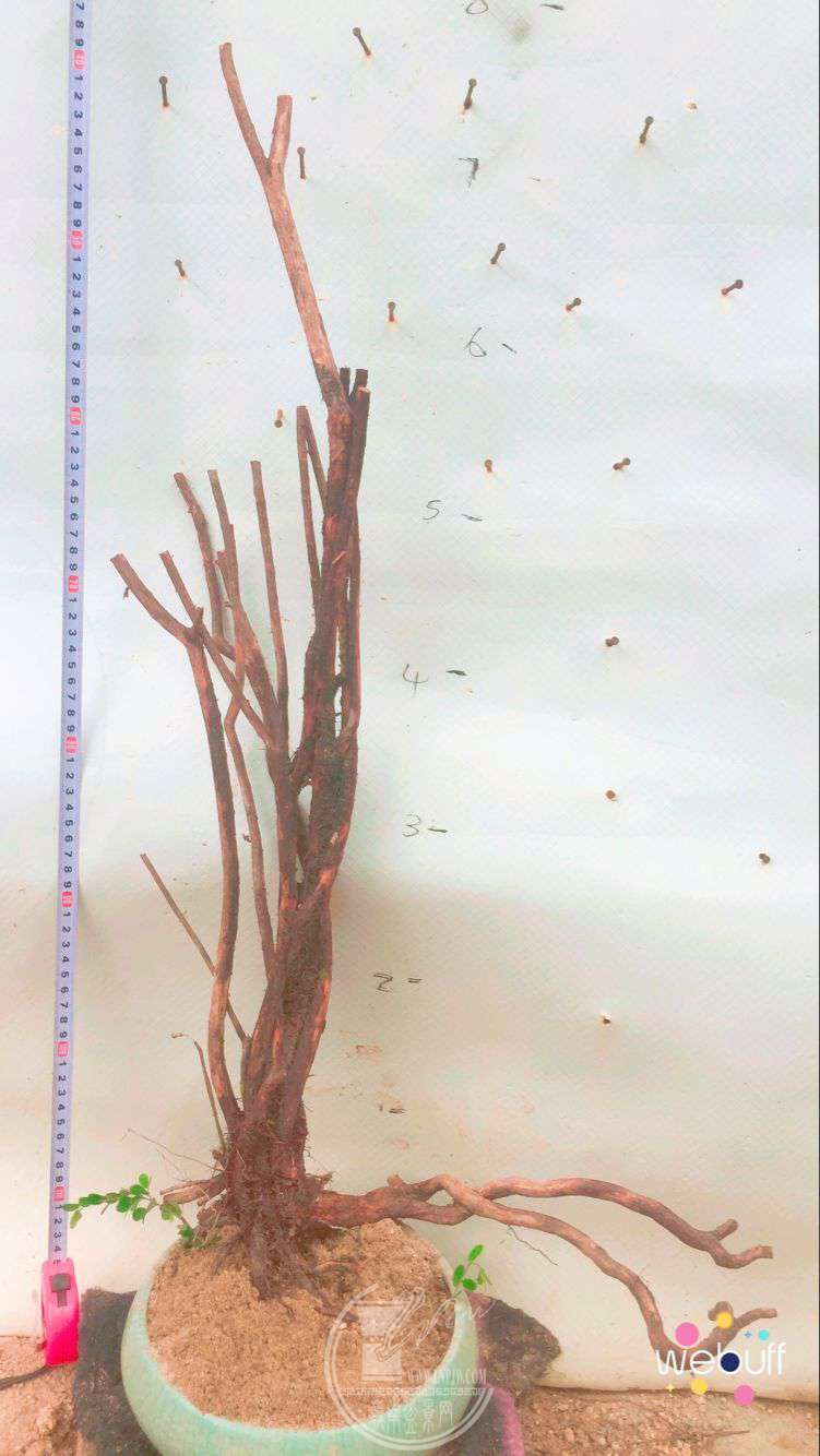 QQͼƬ20180506090751.jpg