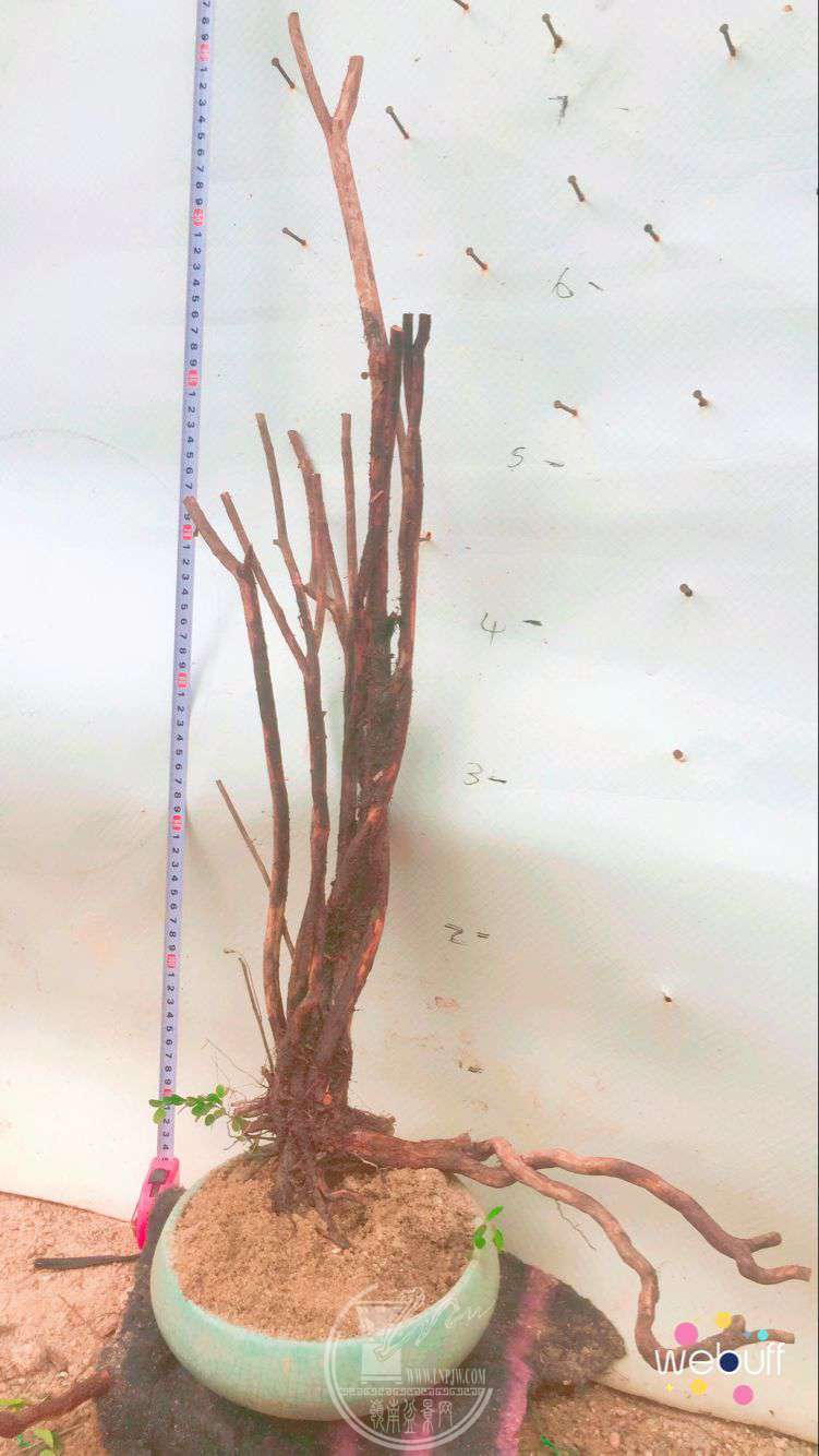 QQͼƬ20180506090754.jpg