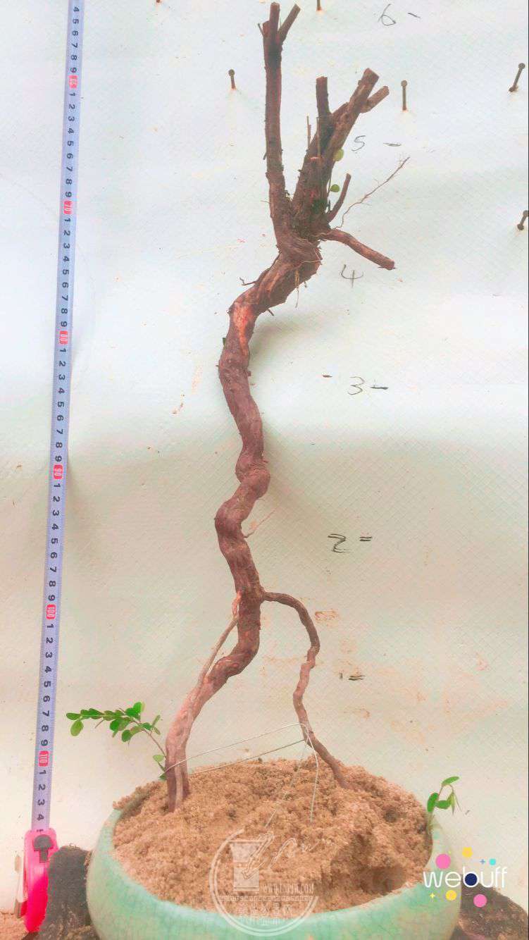 QQͼƬ20180506091157.jpg