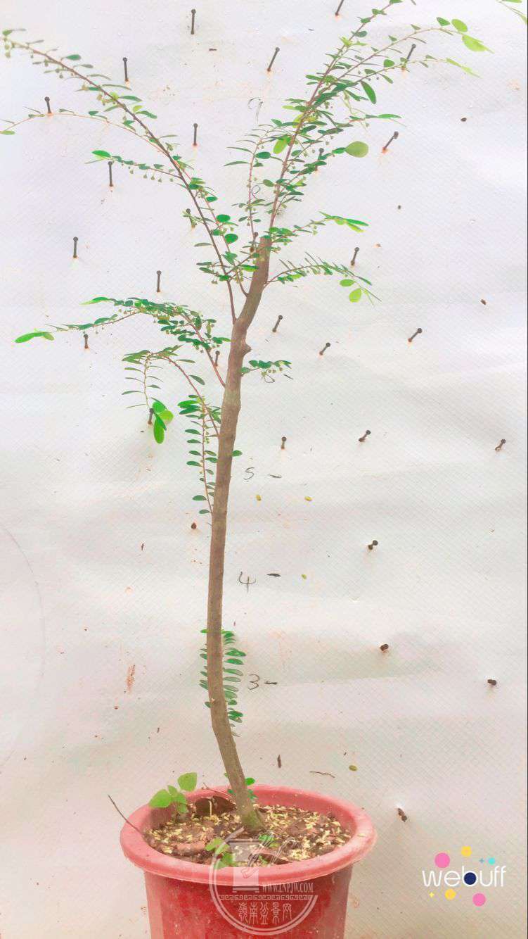 QQͼƬ20180506092252.jpg