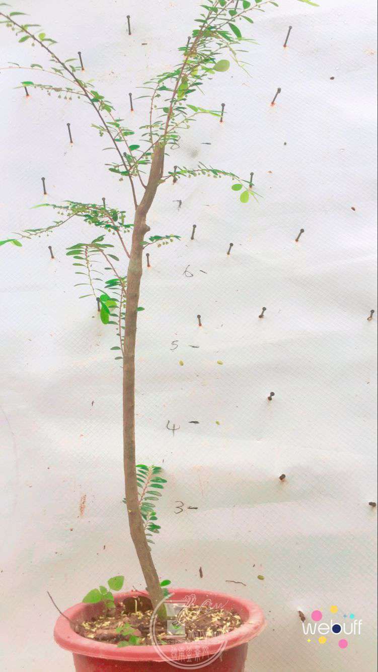 QQͼƬ20180506092255.jpg