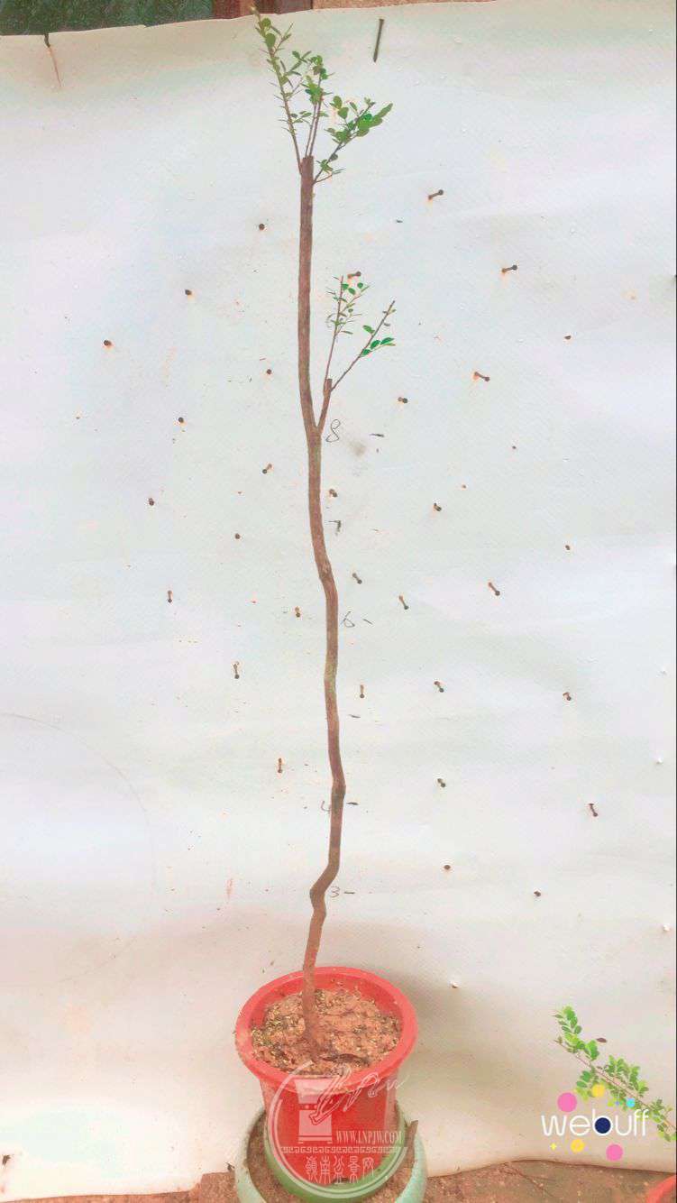 QQͼƬ20180506093015.jpg