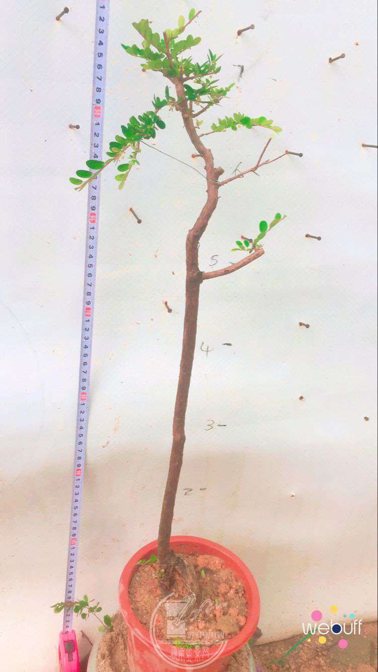 QQͼƬ20180506093237.jpg