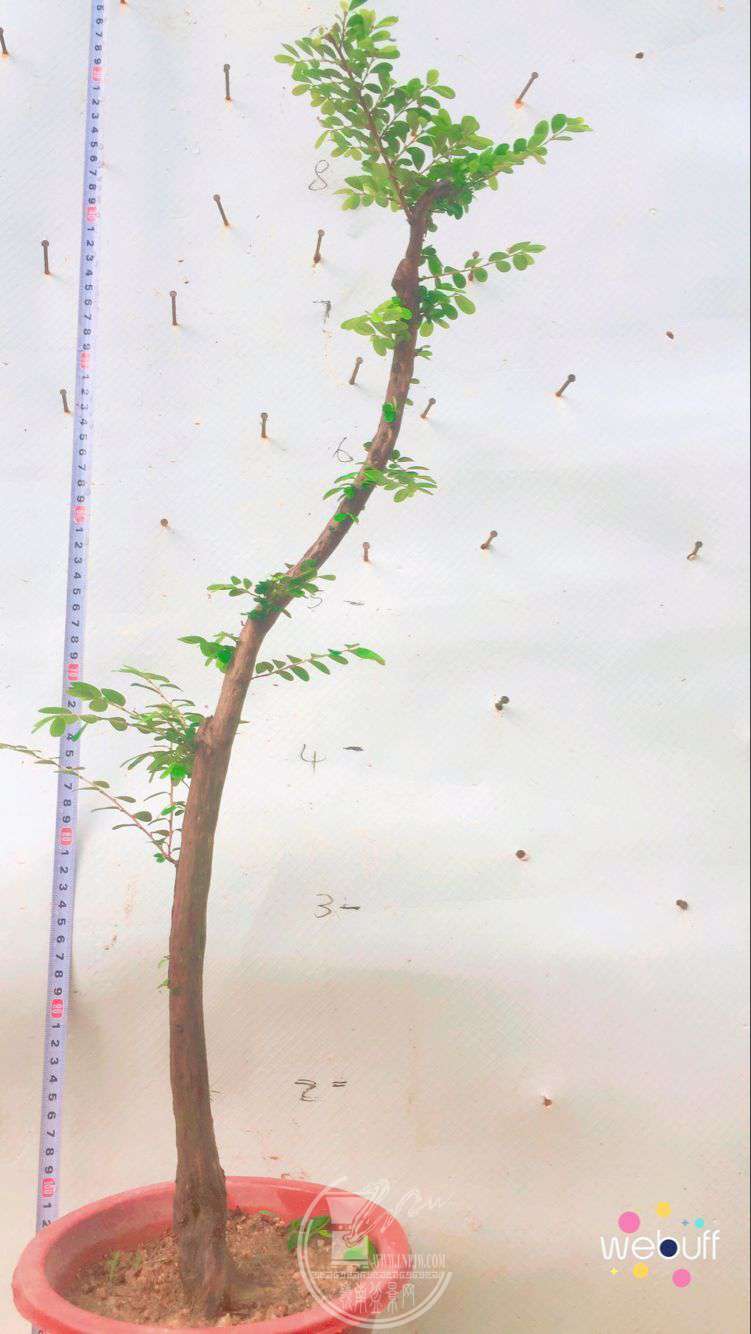 QQͼƬ20180506094115.jpg