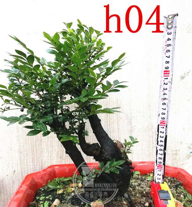 psb (1)_ͼ.jpg