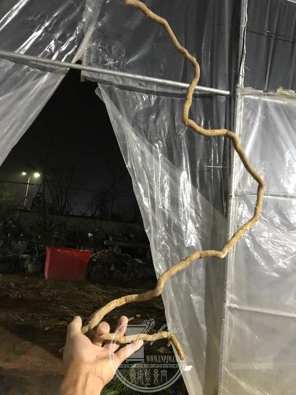 938985