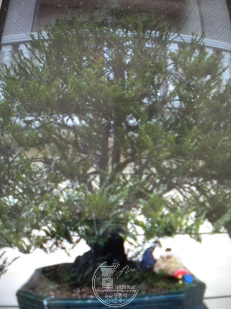 DSCN9150.jpg