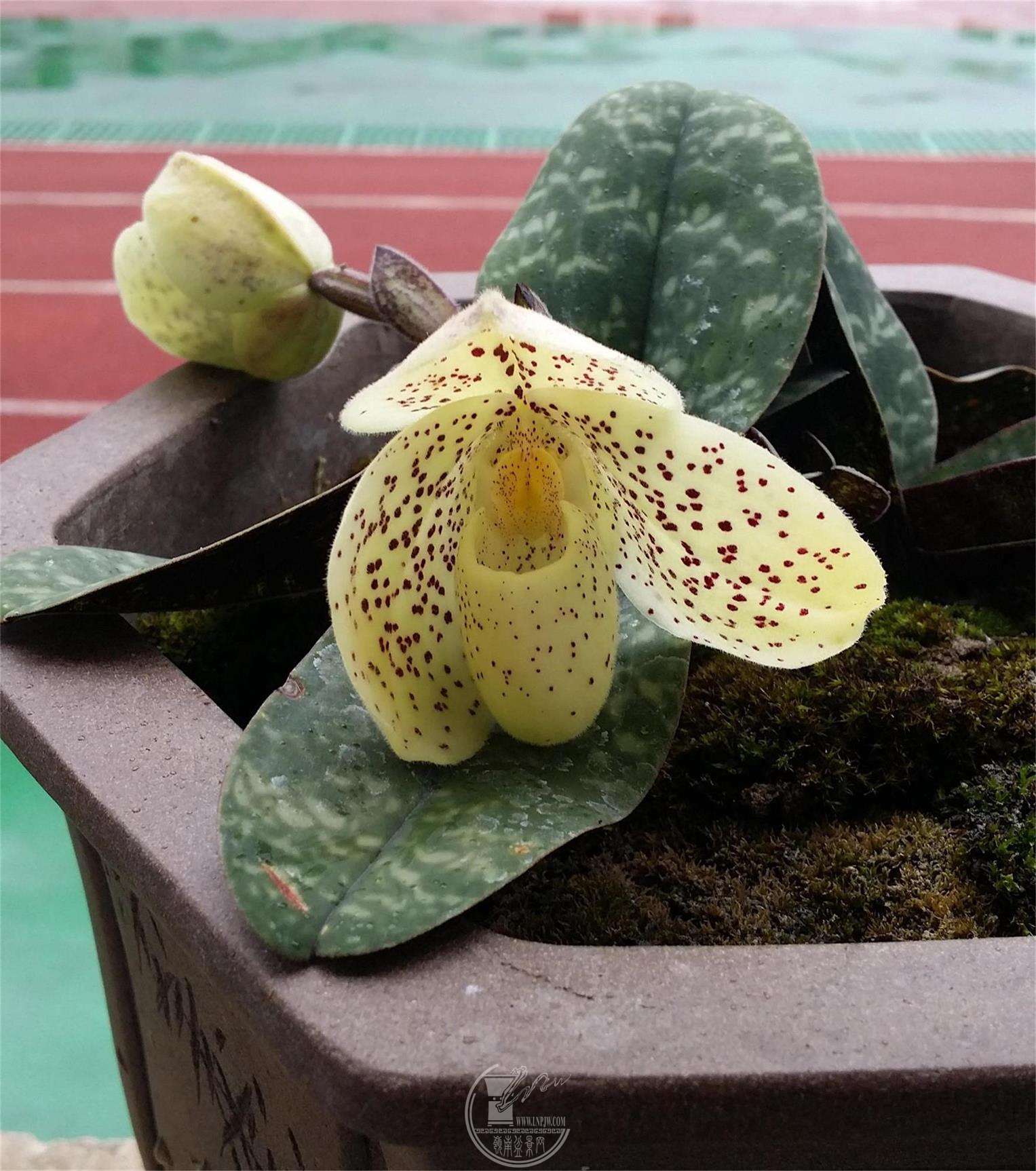 20180509_140527_ͼ.jpg