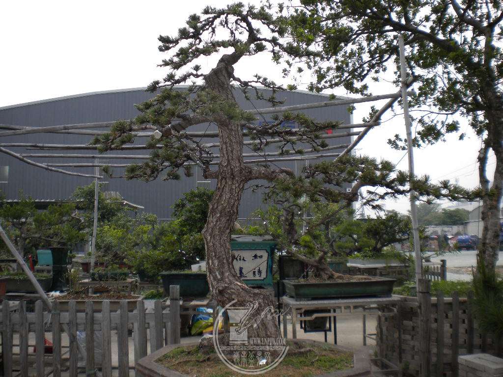 DSCN9076.JPG