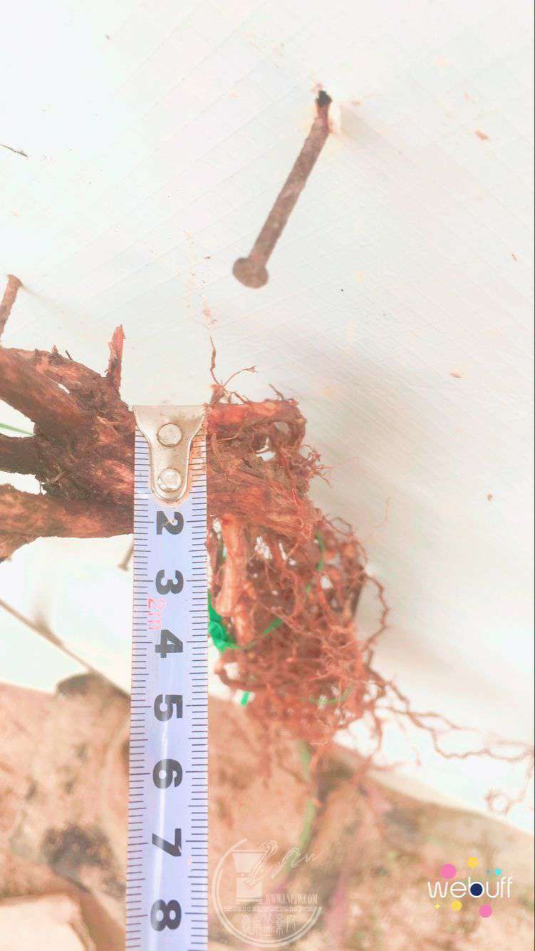 QQͼƬ20180515204608.jpg