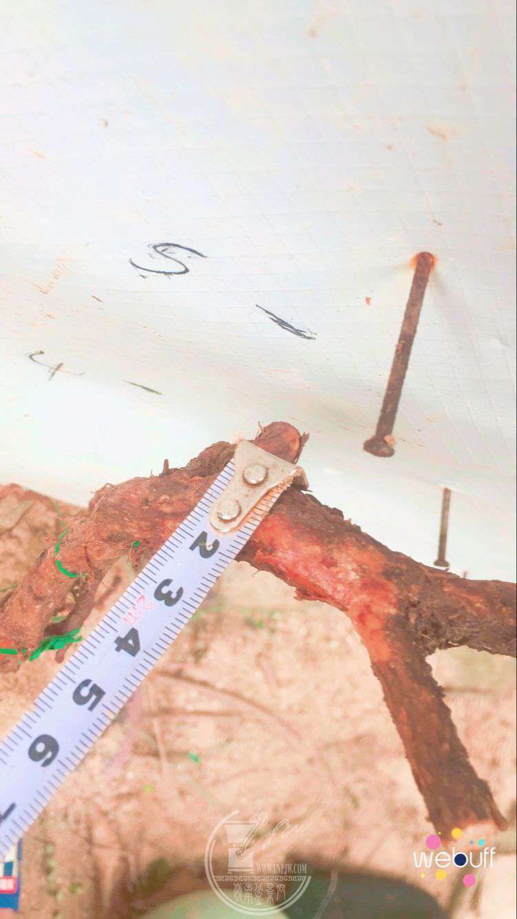QQͼƬ20180515205953.jpg