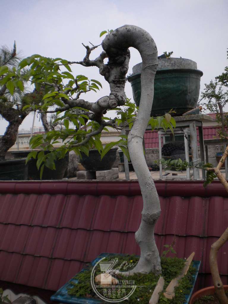 DSCN9004.JPG