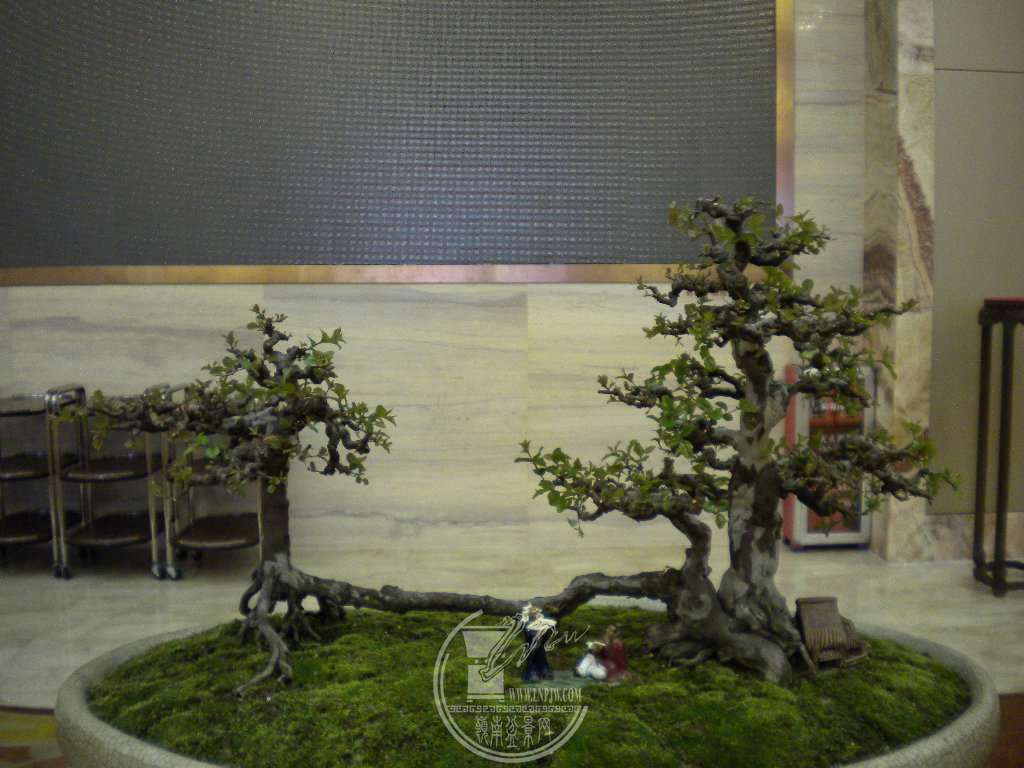 DSCN9313.JPG