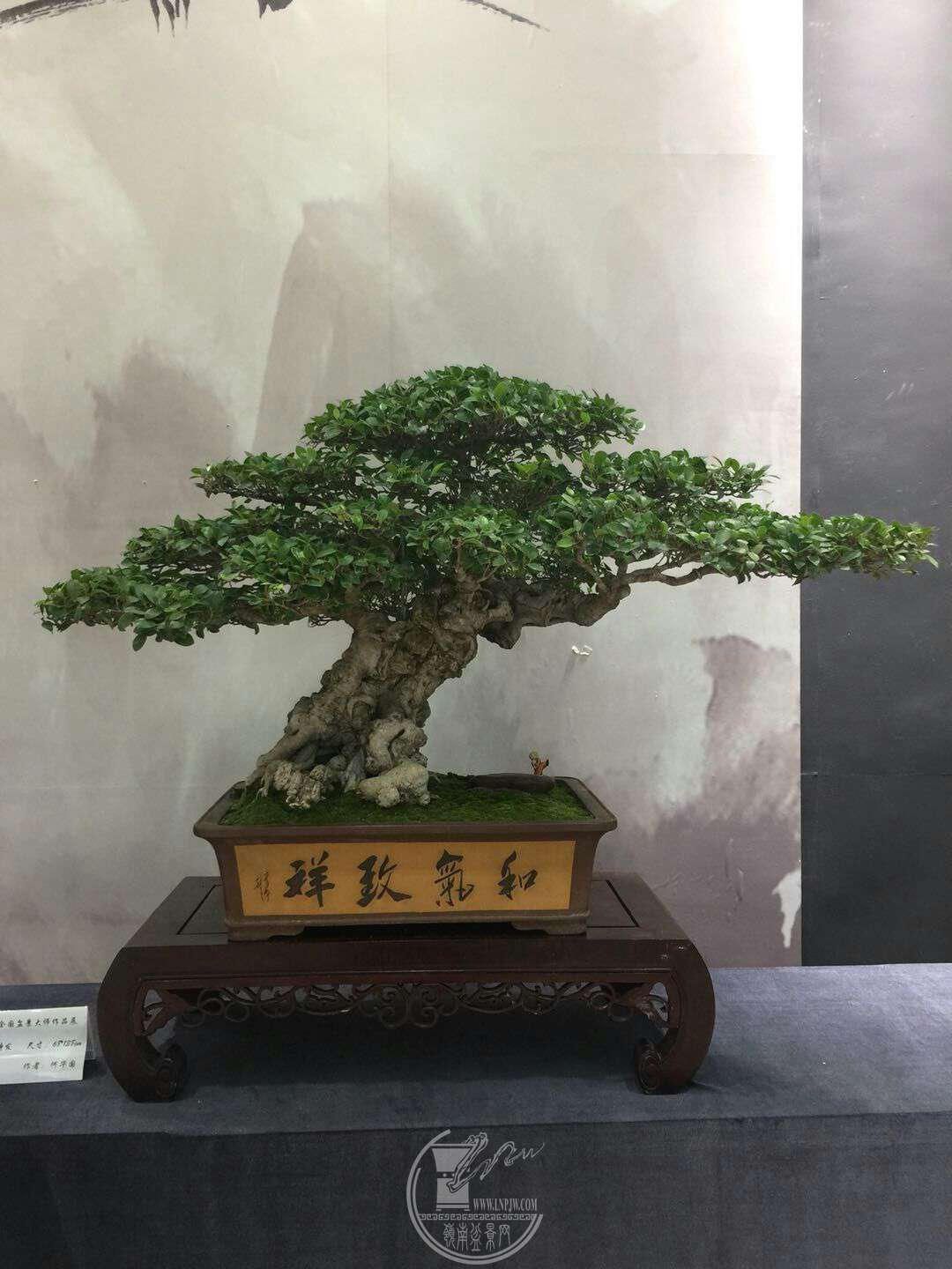 mmexport1527252488516.jpg