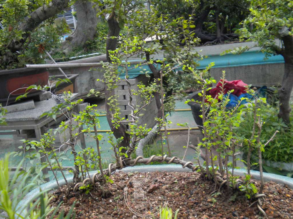 DSCN9170.JPG