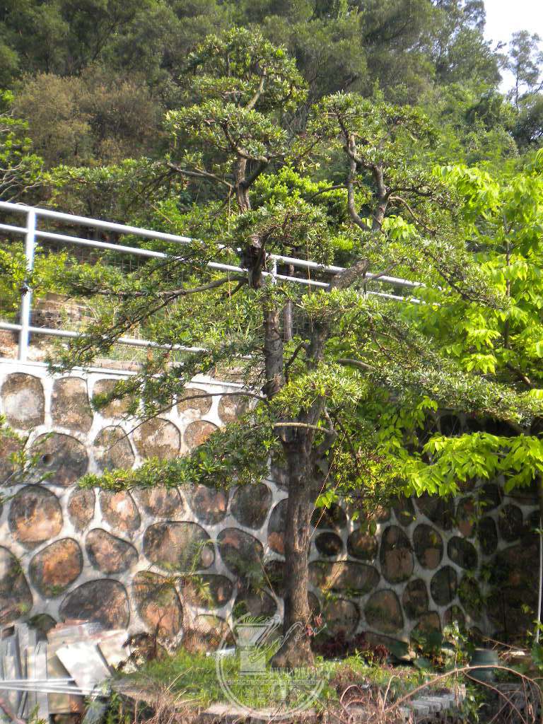 DSCN9357.JPG