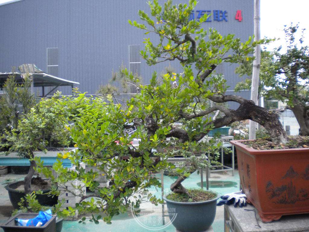 DSCN8924.JPG