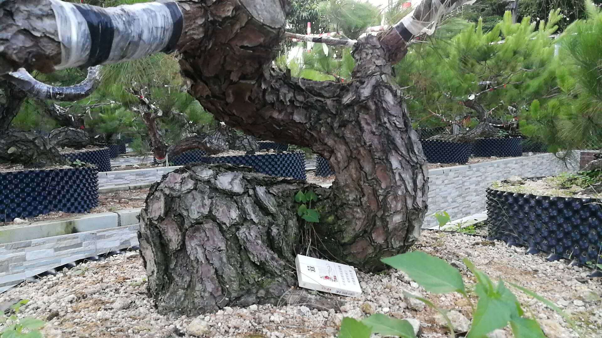 659422926756196981.jpg