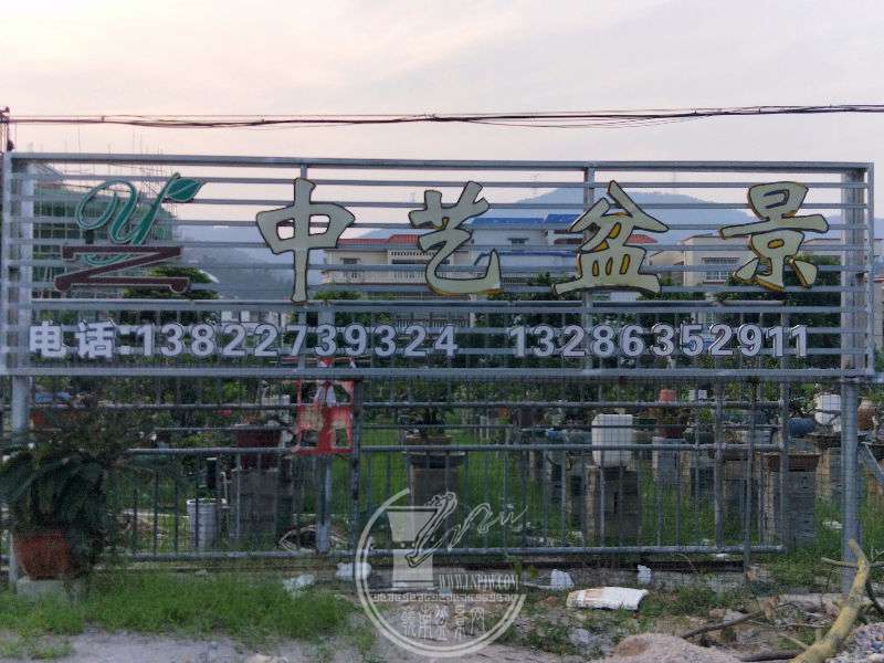 941699