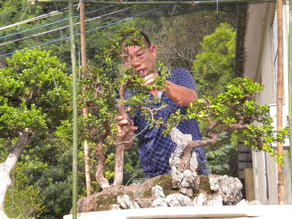 DSCN9395.JPG