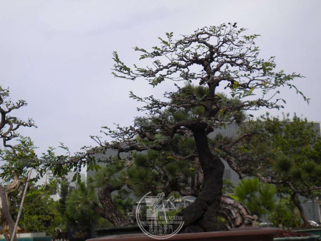 DSCN9493.JPG