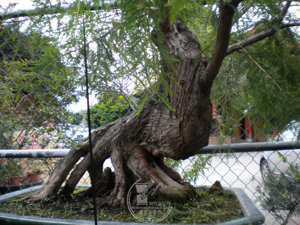 DSCN9428.JPG