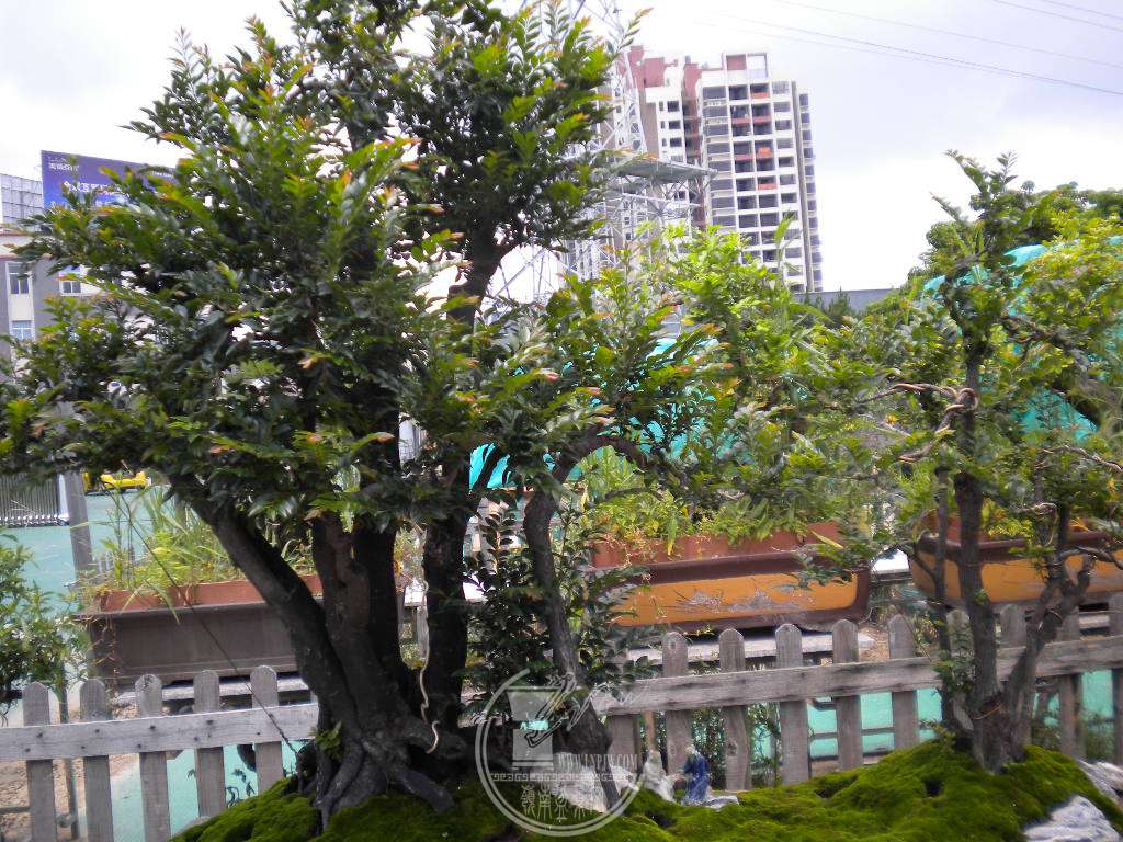 DSCN9460.JPG