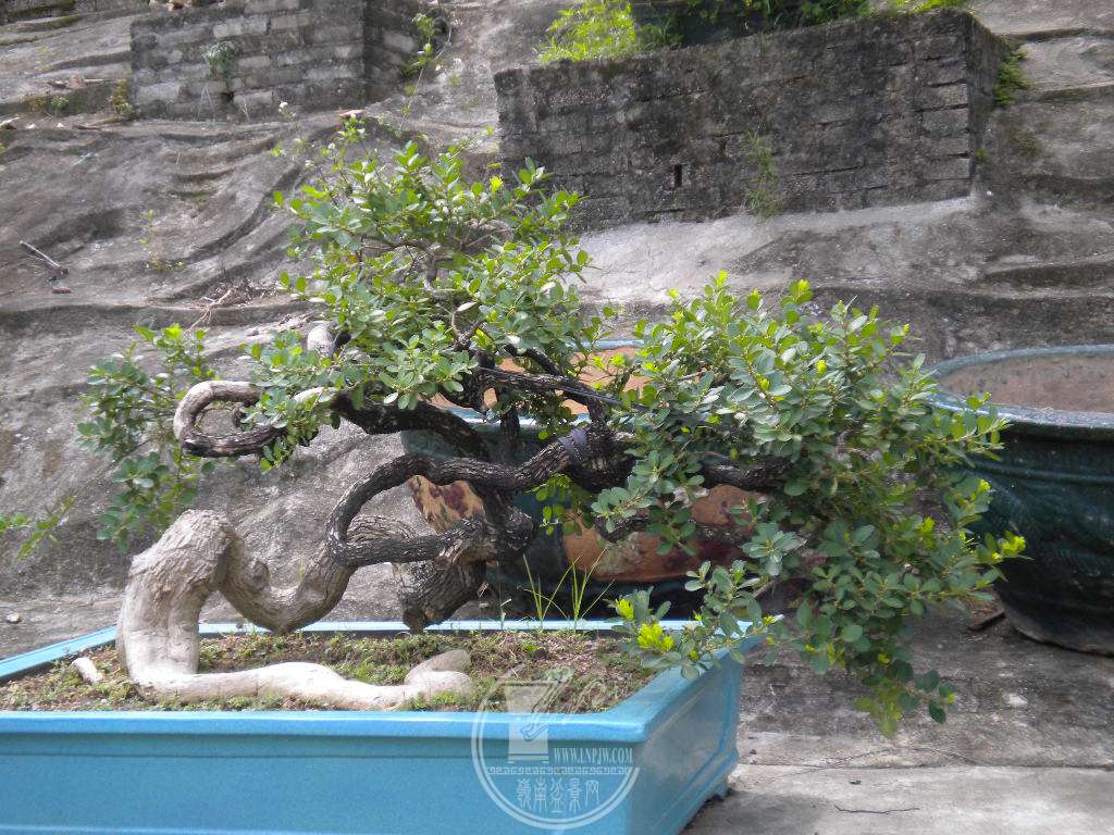 DSCN9435.JPG