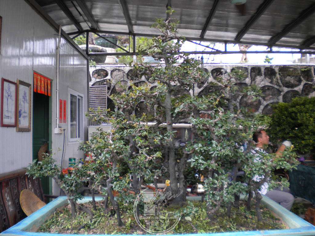 DSCN9414.JPG