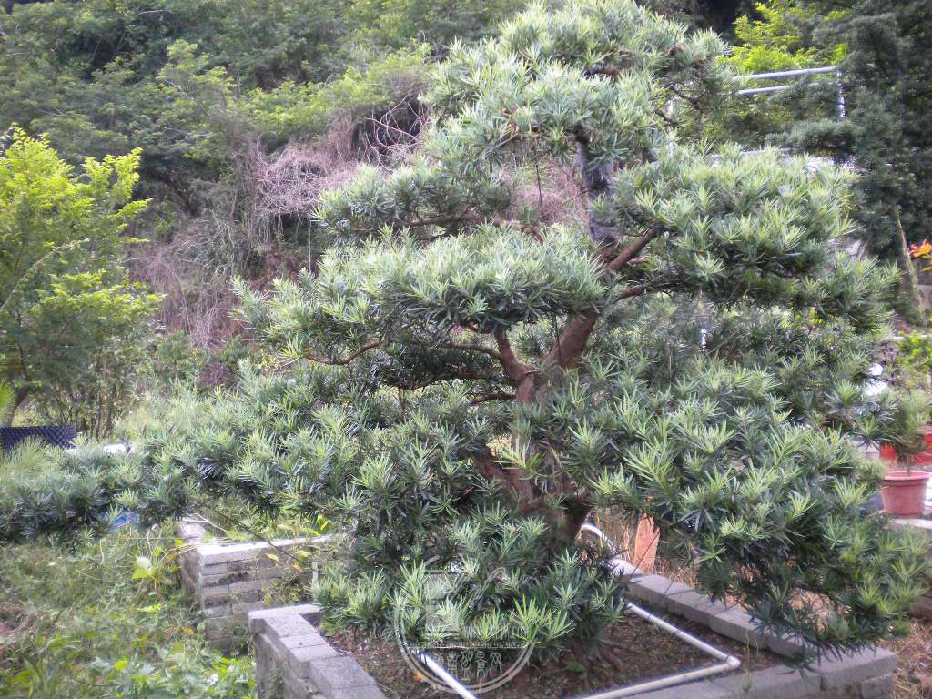 DSCN9418.JPG