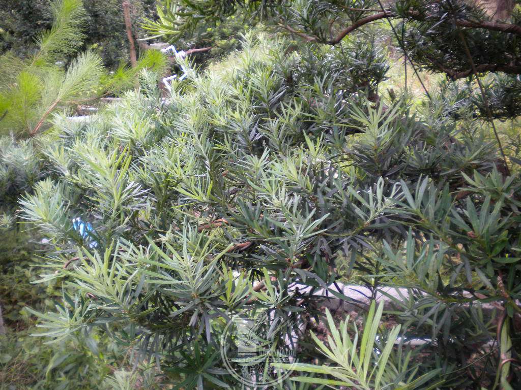 DSCN9420.JPG