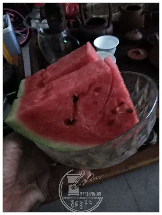 .jpg