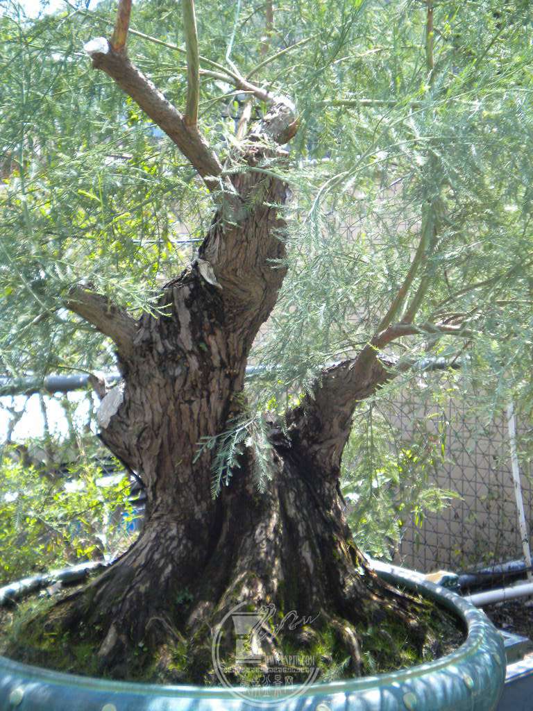 DSCN9527.JPG
