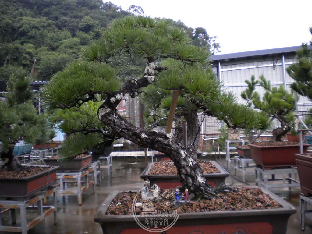 DSCN9609.JPG