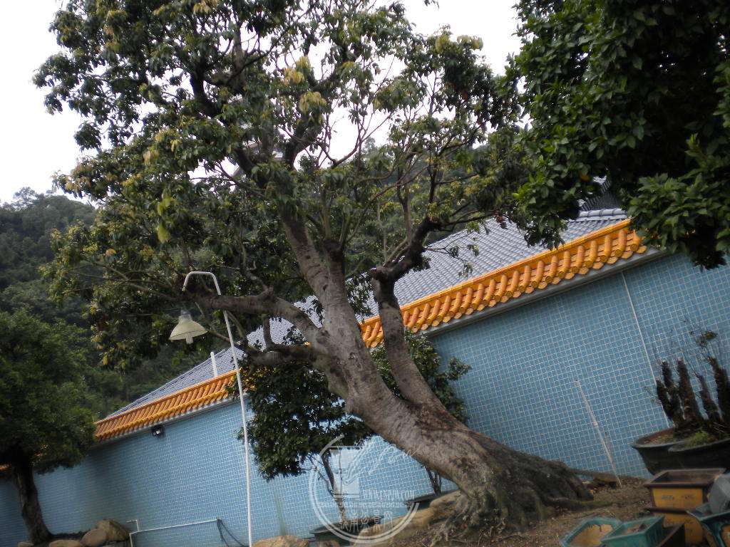 DSCN9608.JPG