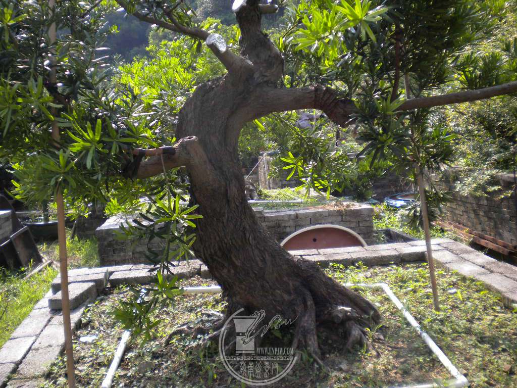 DSCN9634.JPG