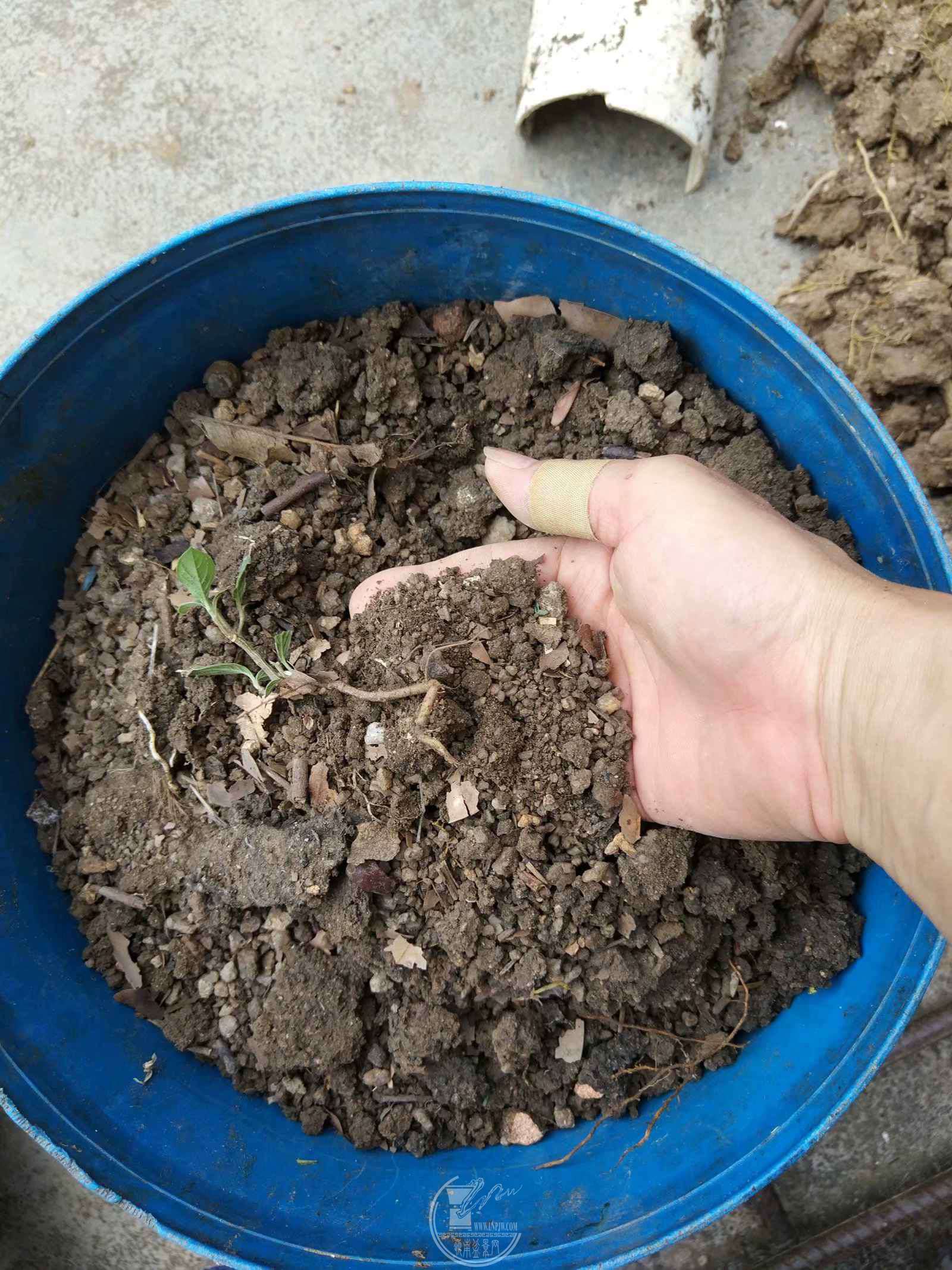 δ_.jpg